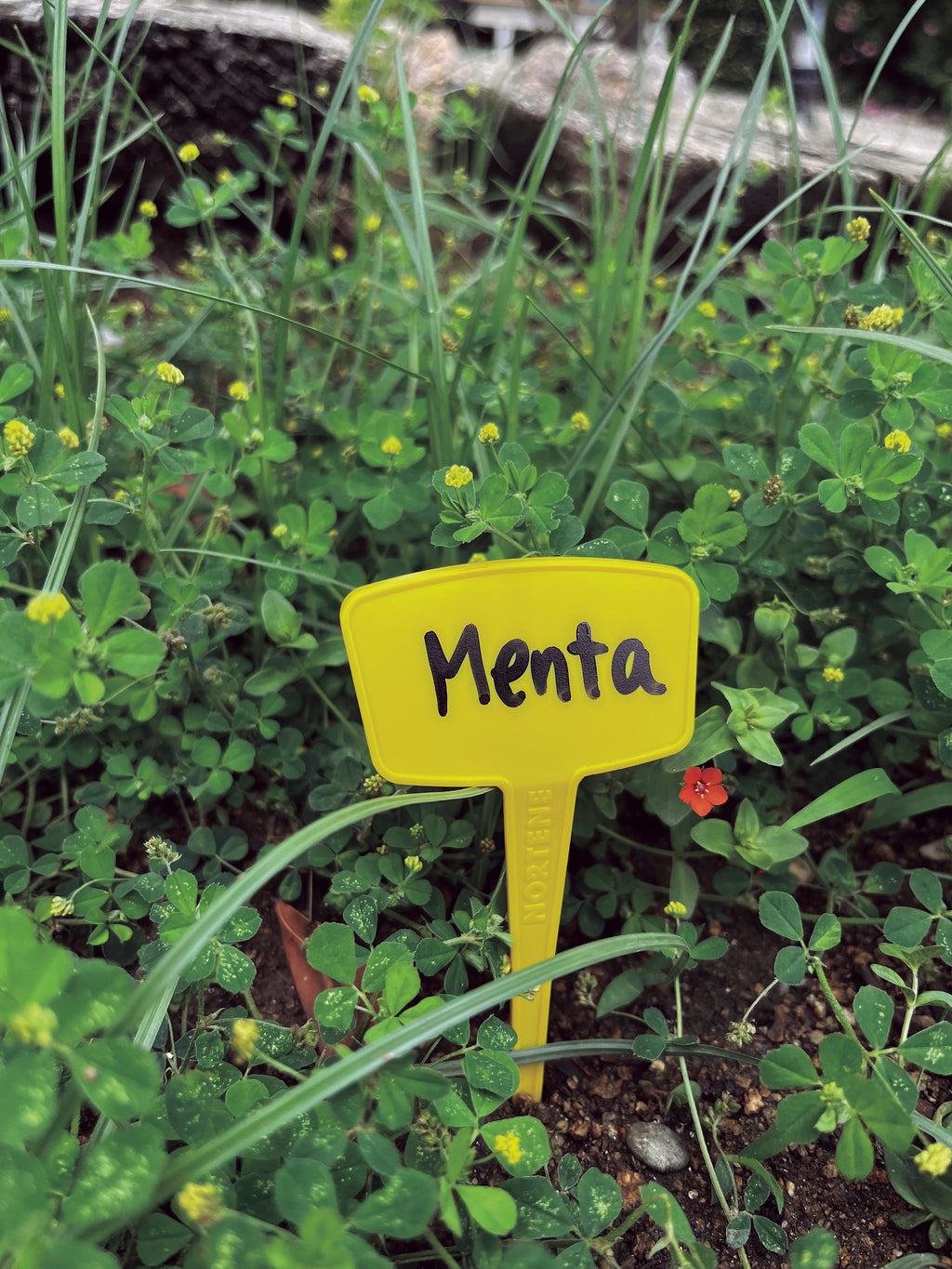 Etiquetas para plantar LABEL 15 cm Amarilla Nortene (1 ud)