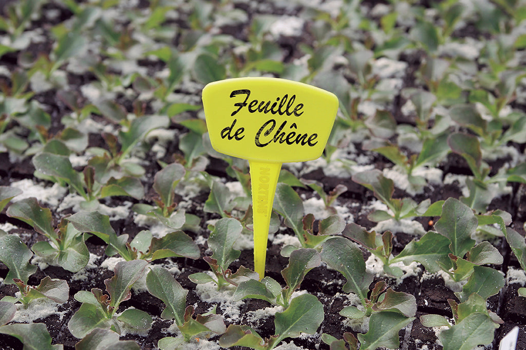 Etiqueta para plantas de fibra LABEL FIB Nortene