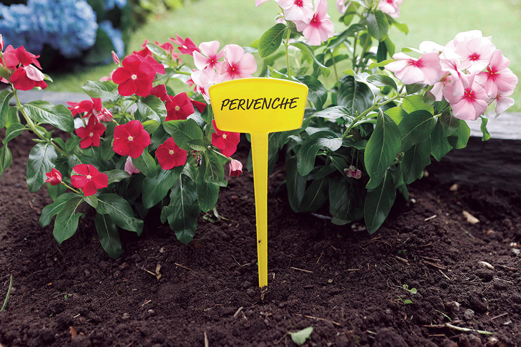 Etiquetas para plantar LABEL 25 cm Amarillo Nortene