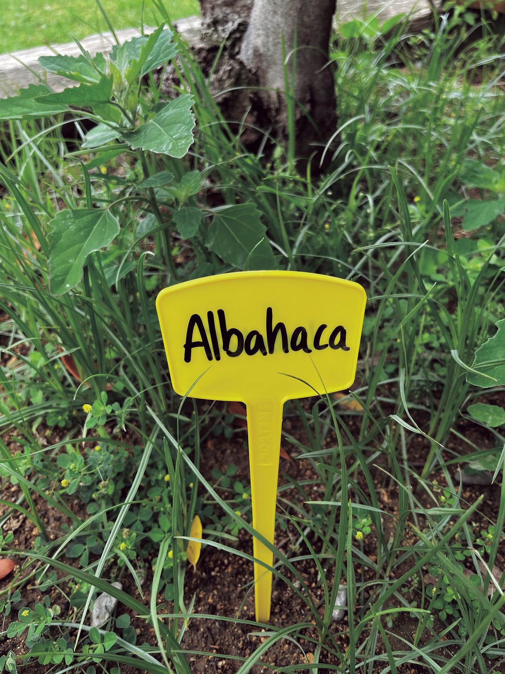 Etiquetas para plantar LABEL 25 cm Amarillo Nortene