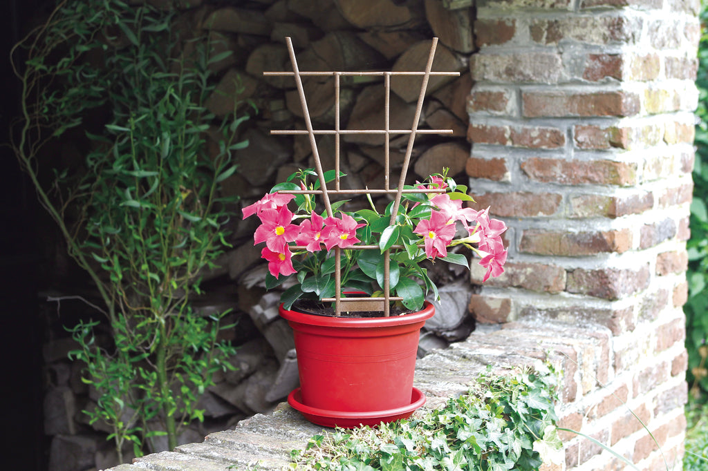 Tutor escalera de fibra para plantas ECHELLE FIB 29,5 x h. 5 cm  Marrón Nortene