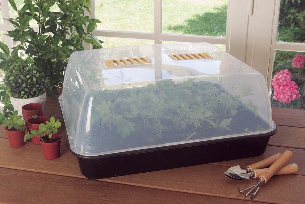 Mini invernadero para semillas RAPID GROW 38 x 24 x 19 cm Nortene