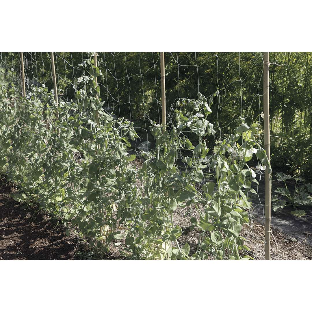 Malla para tutorar biocompostable TRELLINET BIO Verde Nortene