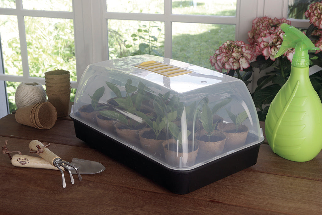 Mini invernadero para semillas RAPID GROW 38 x 24 x 19 cm Nortene