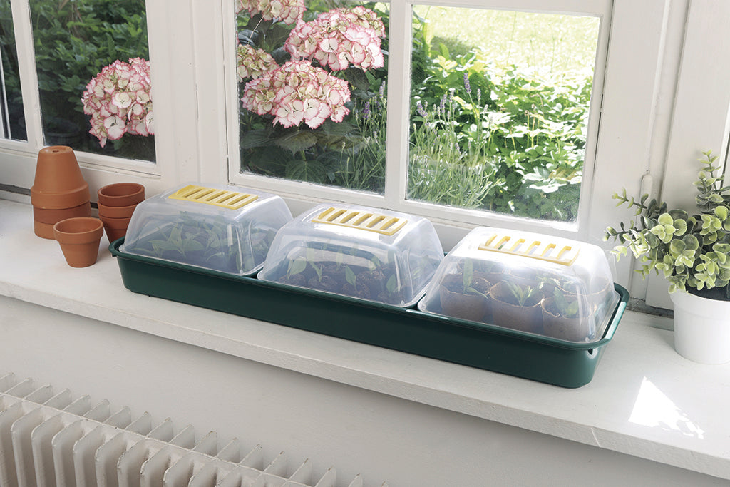 Mini invernadero para semillas RAPID GROW WINDOW 22 x 17,5 x 13 cm Nortene