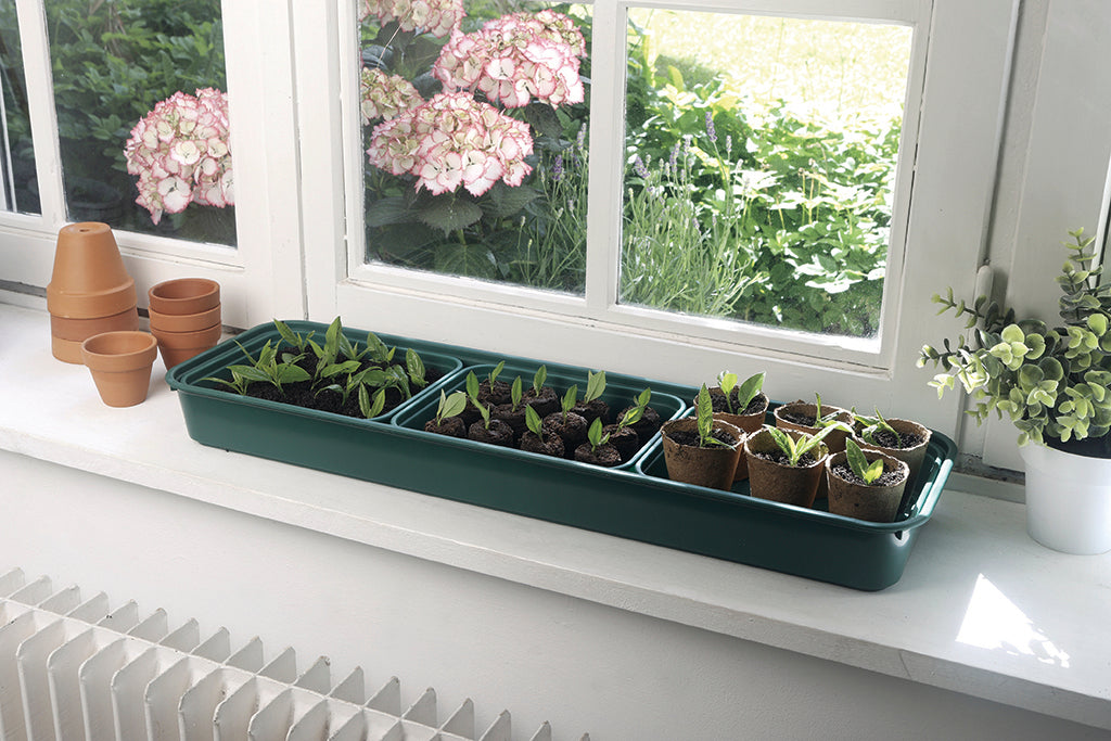 Mini invernadero para semillas RAPID GROW WINDOW 22 x 17,5 x 13 cm Nortene