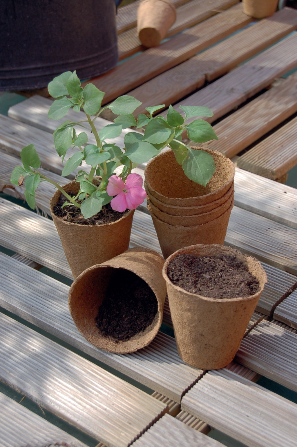 Vasos compostáveis GROWING POT Nortene (24 unidades)