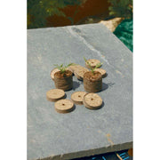Pastilhas de sementeira de coco COCO-TAB 4cm Nortene (20 unid.)