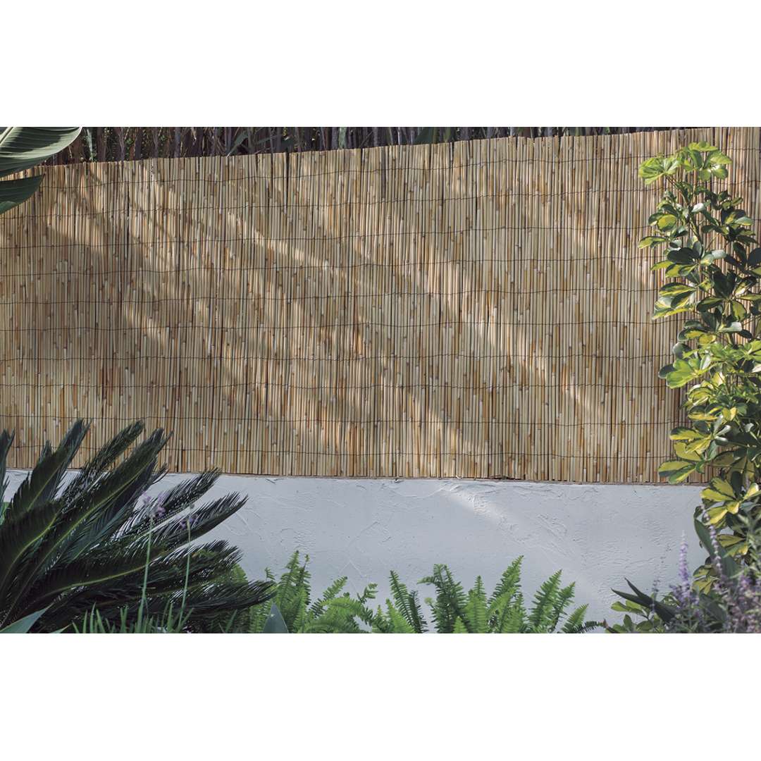 Cañizo entero de varilla media REEDCANE PLUS Nortene