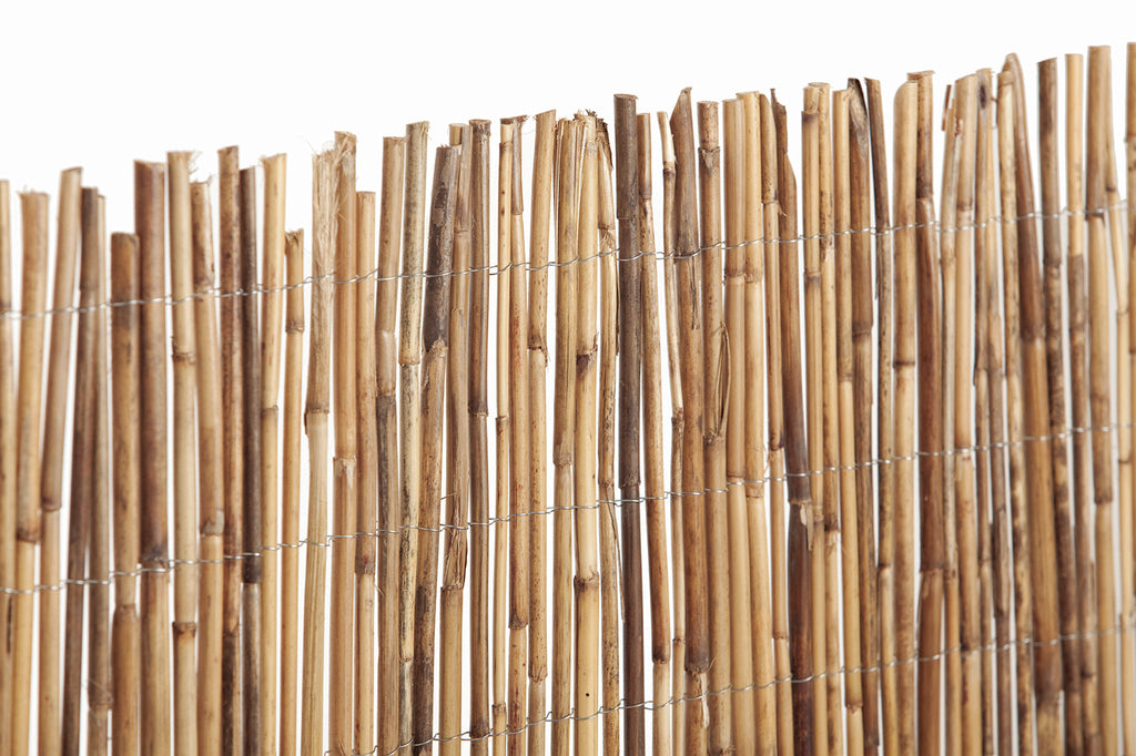Cañizo de bambú entero BAMBOO EXCEL Nortene