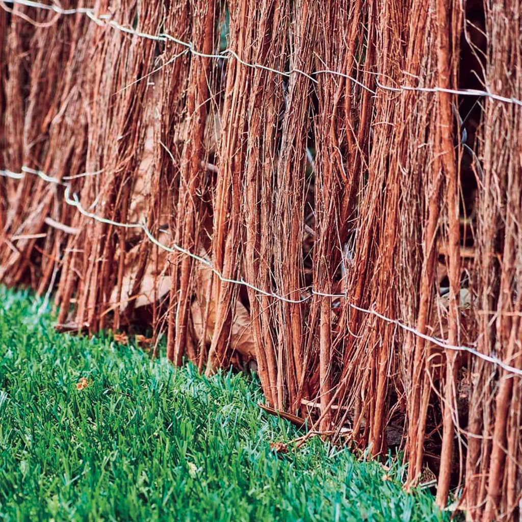Brezo de cubierta natural BRUC MEDIUM Nortene