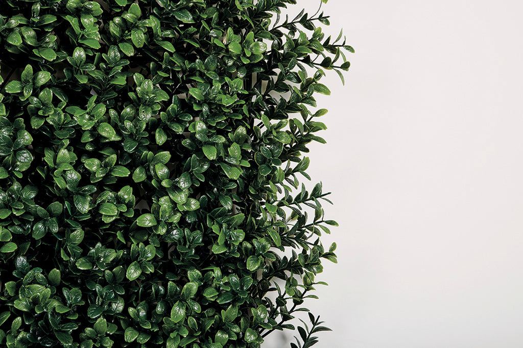 Jardim vertical sintético BUXUS 1 x 1 m Nortene