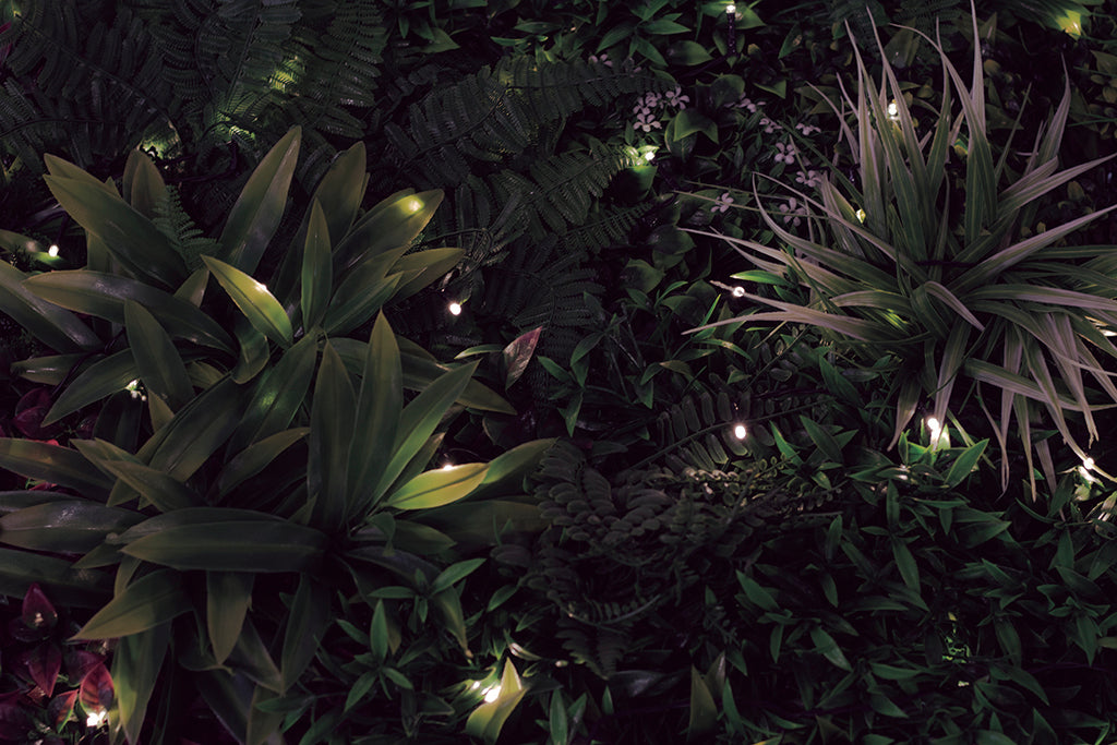 Jardín vertical sintético SAUVAGE LED 1 x 1 m Nortene