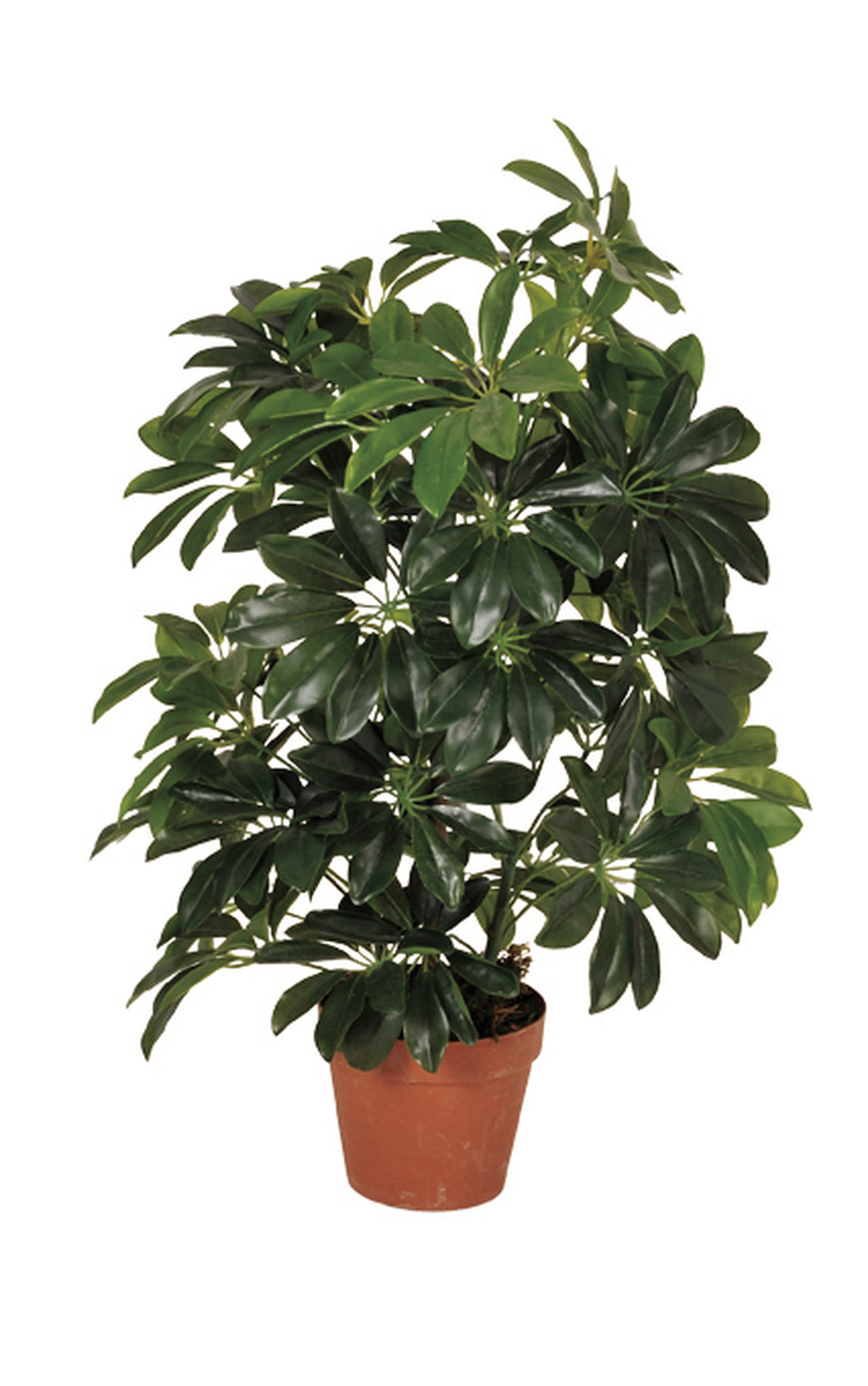 Colección plantas artificiales para interior DECOPLANT Nortene