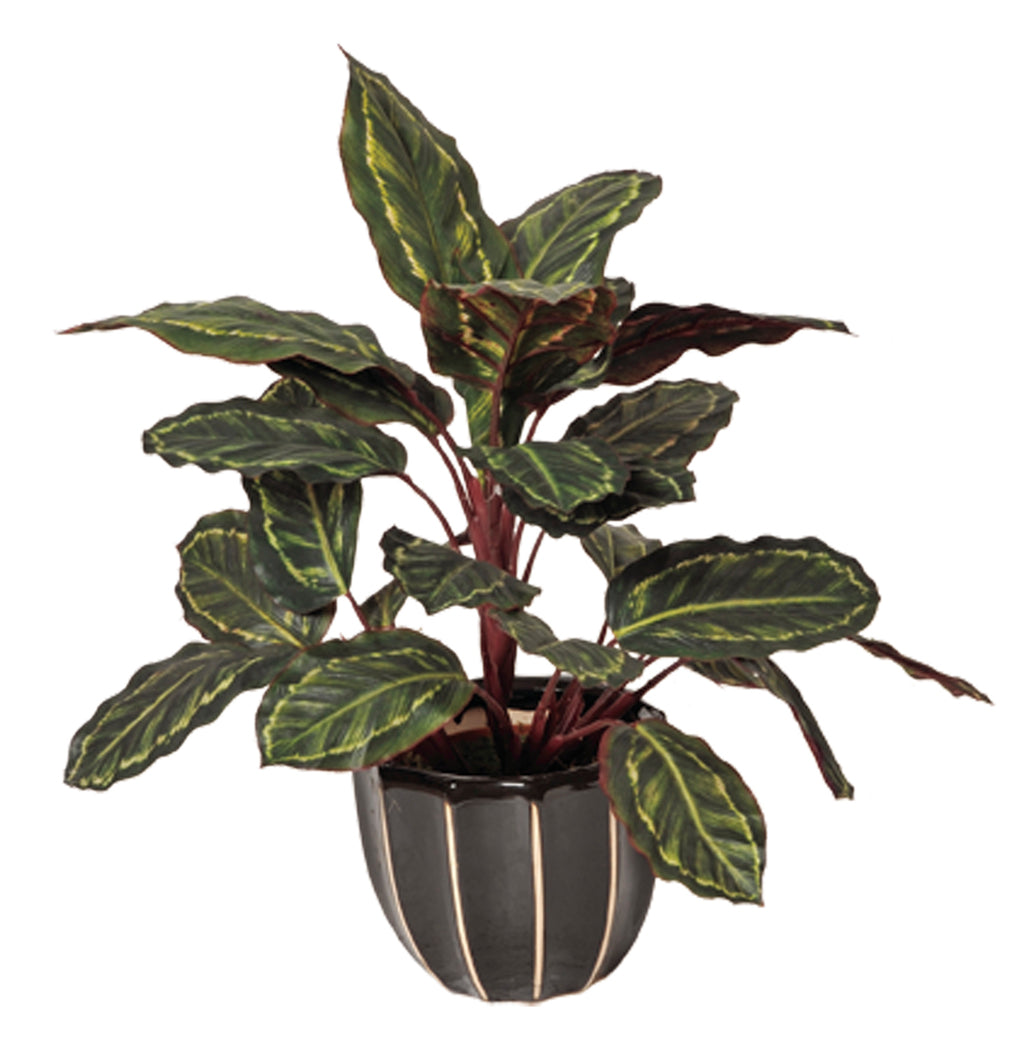 Colección plantas artificiales para interior DECOPLANT Nortene