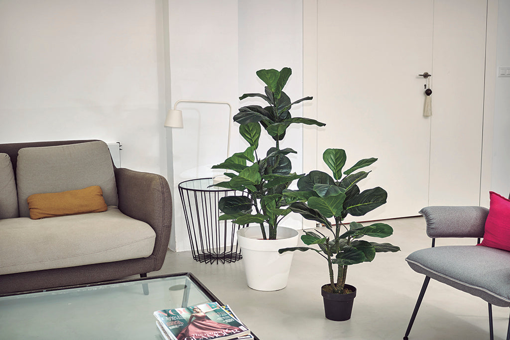 Colección plantas artificiales para interior DECOPLANT Nortene