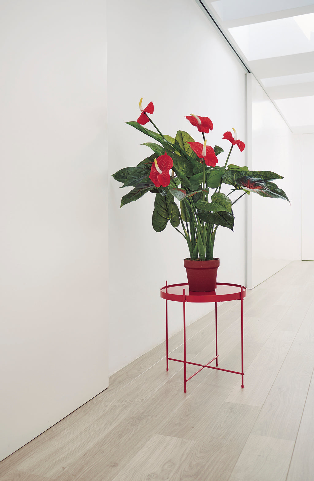 Colección plantas artificiales para interior DECOPLANT Nortene
