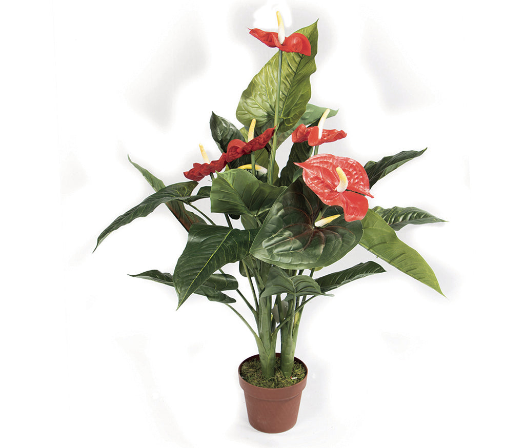 Colección plantas artificiales para interior DECOPLANT Nortene