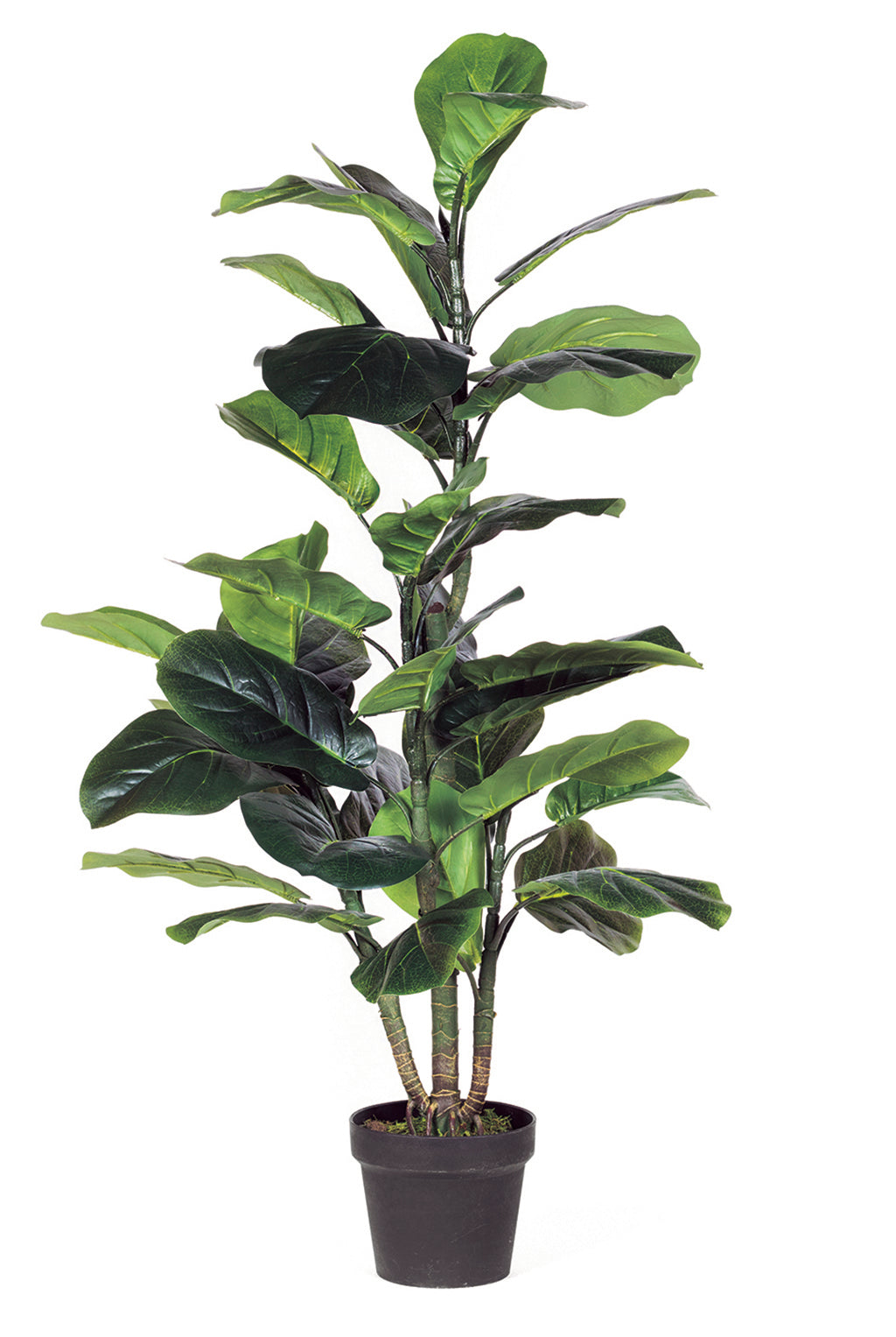 Colección plantas artificiales para interior DECOPLANT Nortene