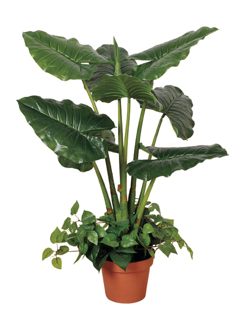 Colección plantas artificiales para interior DECOPLANT Nortene