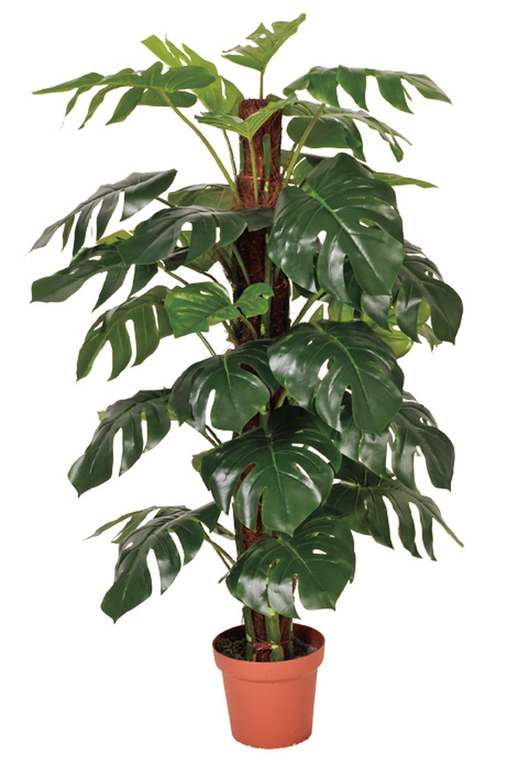 Colección plantas artificiales para interior DECOPLANT Nortene