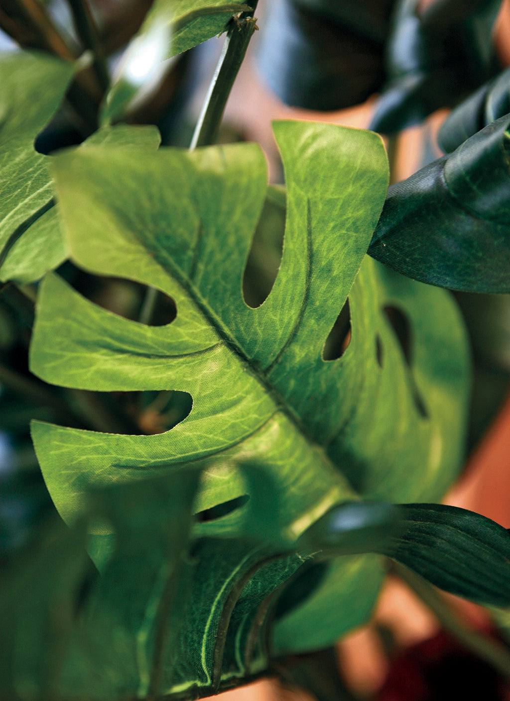 Colección plantas artificiales para interior DECOPLANT Nortene