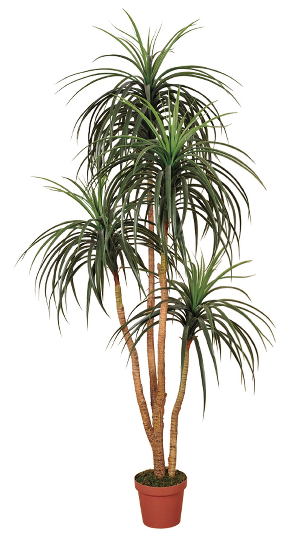 Colección plantas artificiales para interior DECOPLANT Nortene