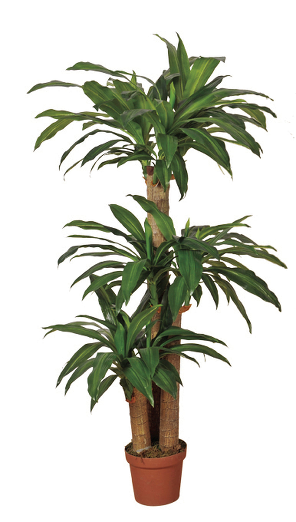 Colección plantas artificiales para interior DECOPLANT Nortene