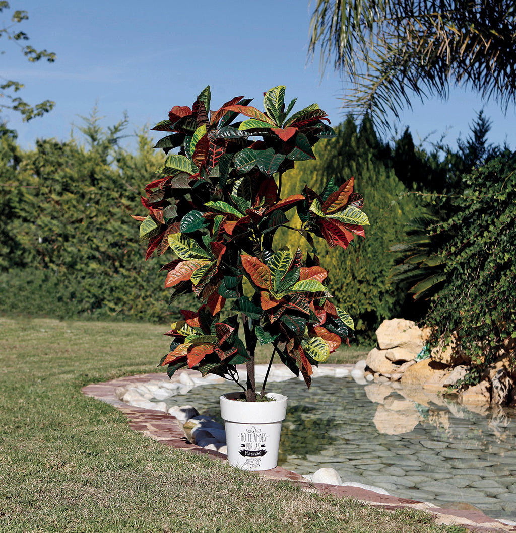 Colección plantas artificiales para interior DECOPLANT Nortene
