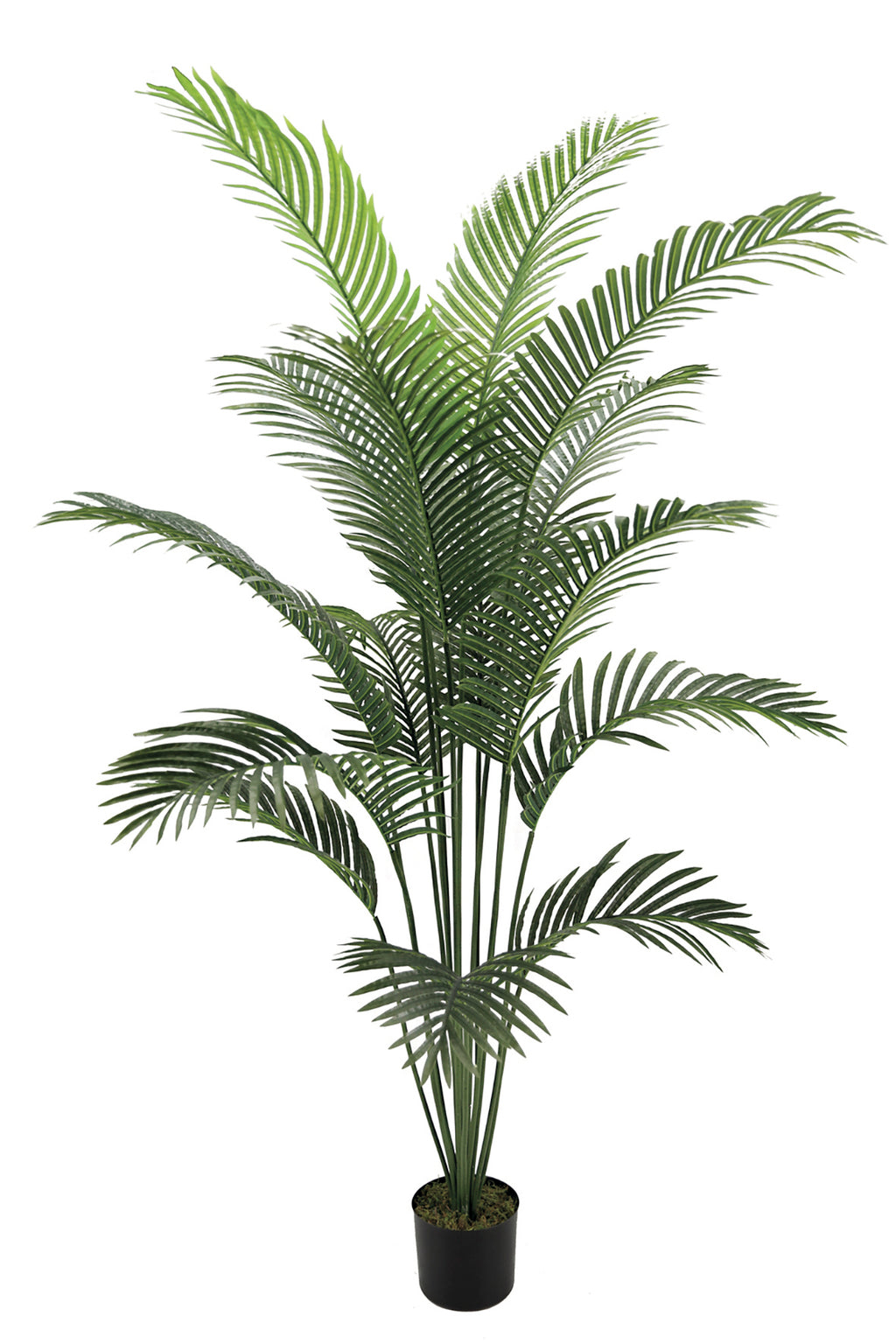 Colección plantas artificiales para interior DECOPLANT Nortene