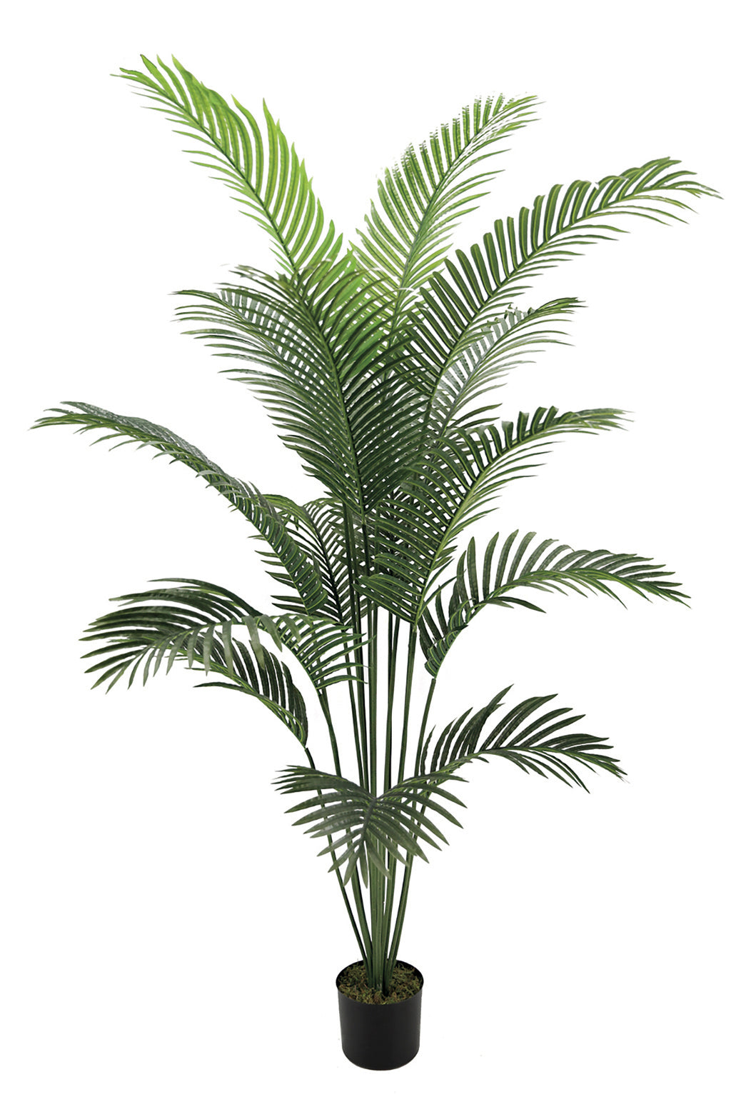 Colección plantas artificiales para interior DECOPLANT Nortene