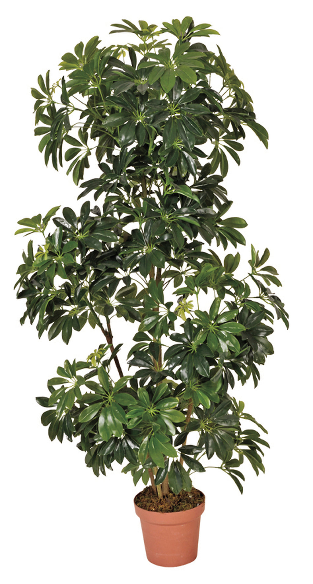 Colección plantas artificiales para interior DECOPLANT Nortene
