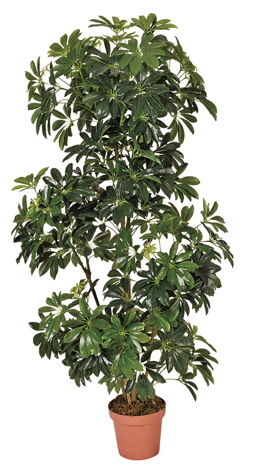 Colección plantas artificiales para interior DECOPLANT Nortene