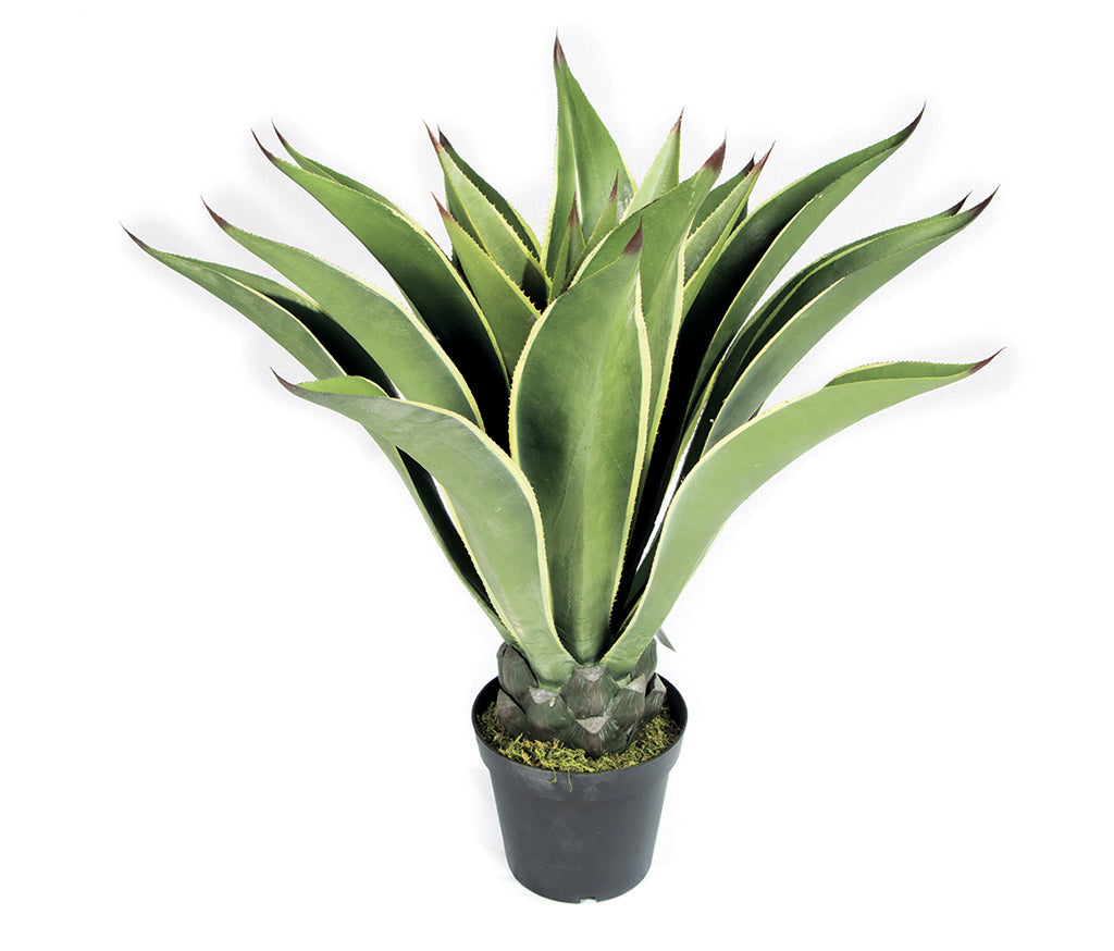 Colección plantas artificiales para interior DECOPLANT Nortene