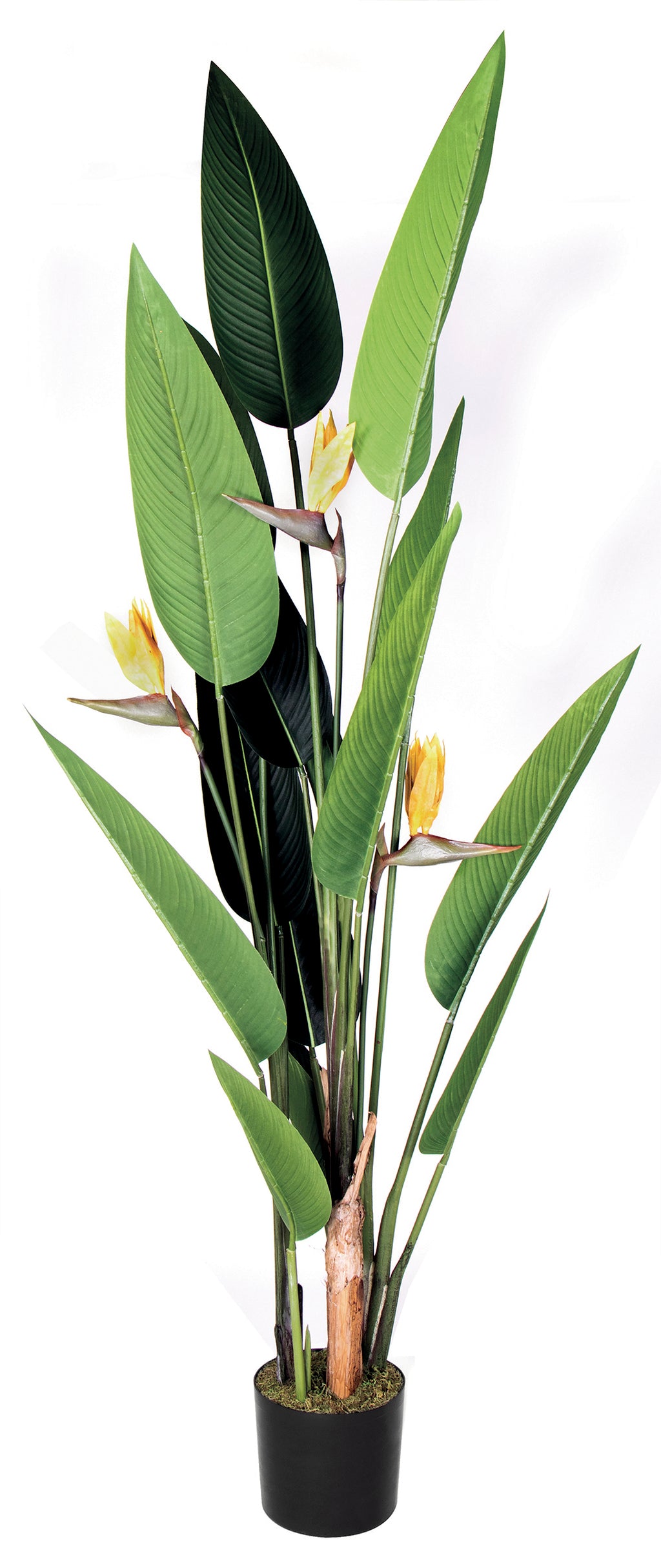 Colección plantas artificiales para interior DECOPLANT Nortene
