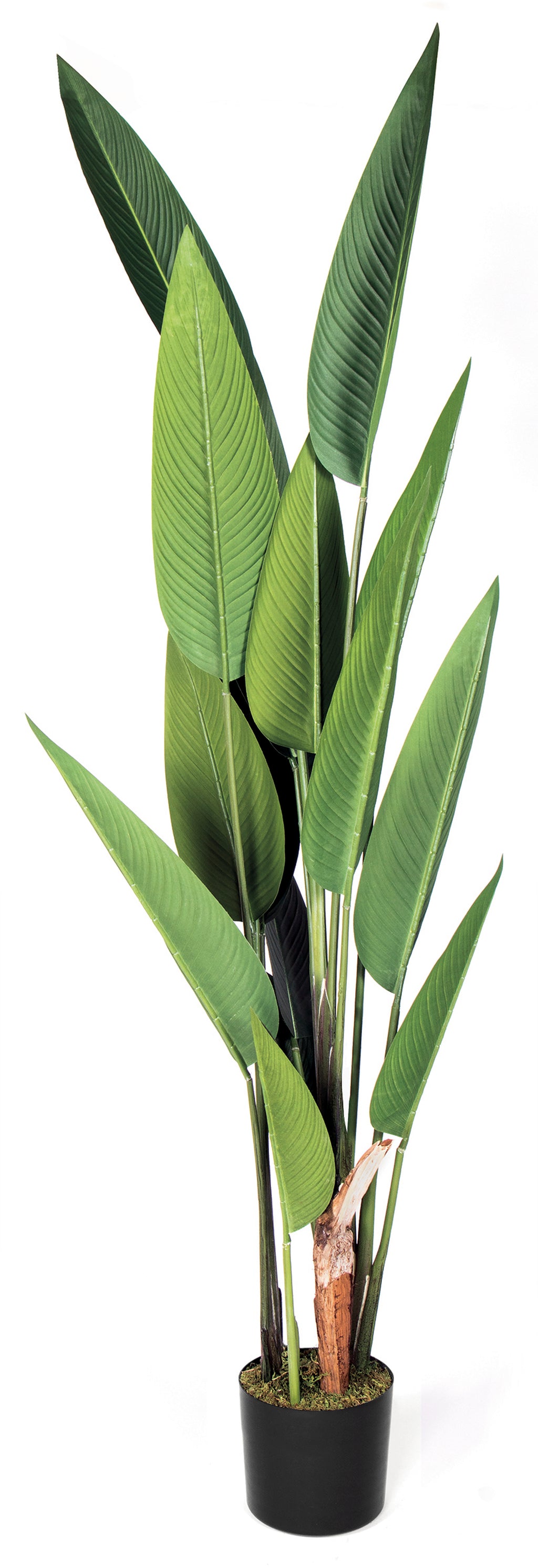 Colección plantas artificiales para interior DECOPLANT Nortene