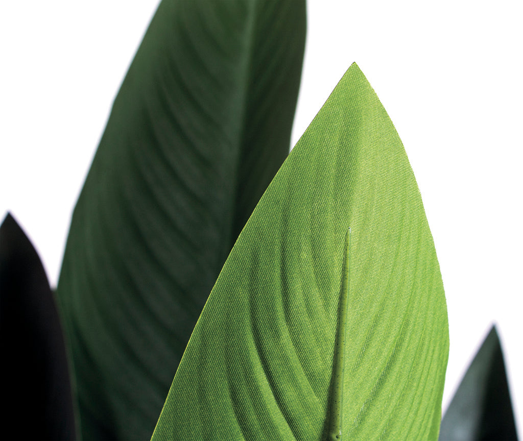 Colección plantas artificiales para interior DECOPLANT Nortene