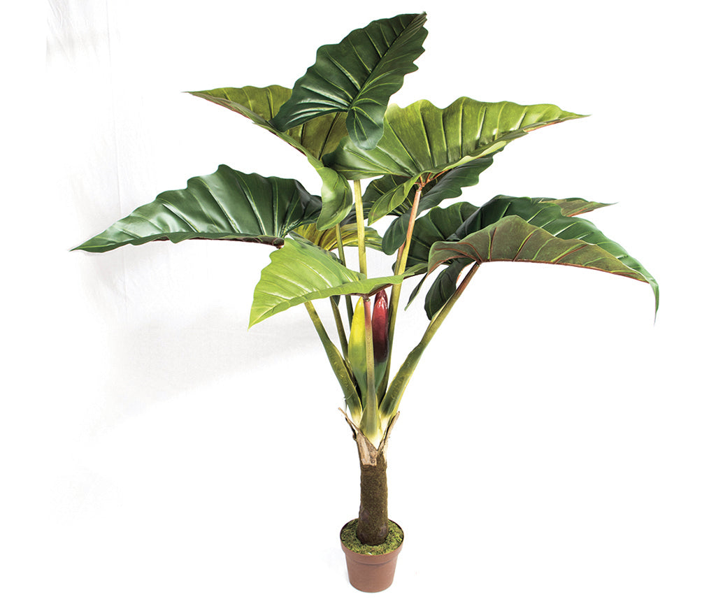 Colección plantas artificiales para interior DECOPLANT Nortene