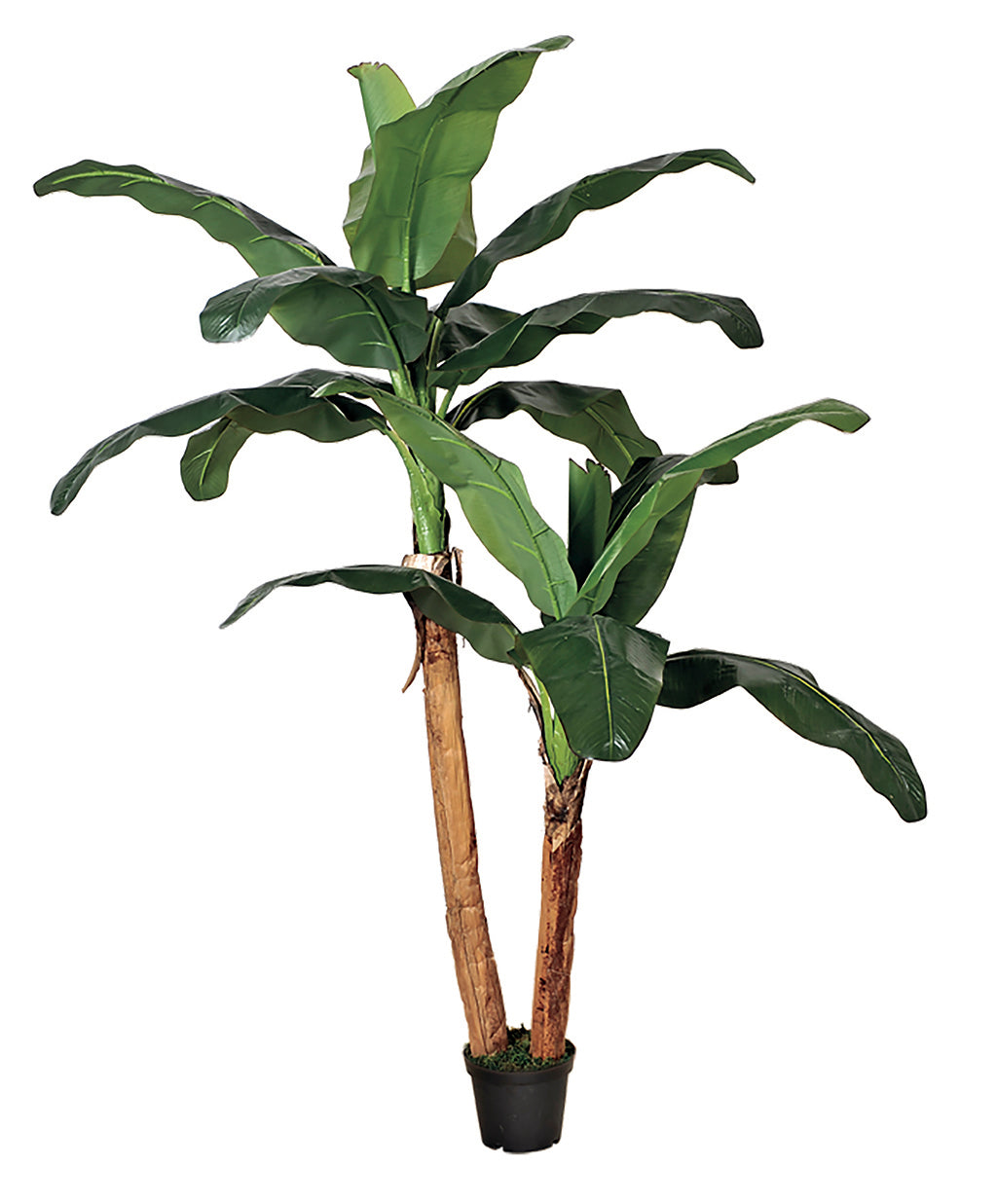Colección plantas artificiales para interior DECOPLANT Nortene