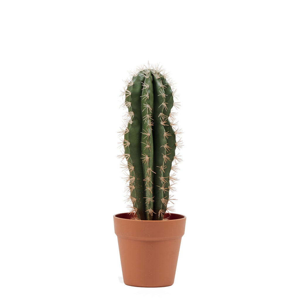Colección plantas artificiales para interior DECOPLANT Nortene