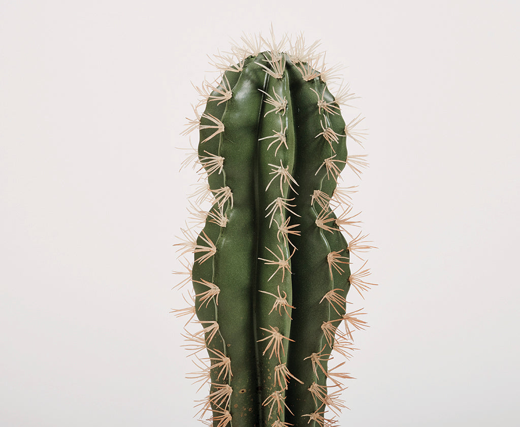 Colección plantas artificiales para interior DECOPLANT Nortene