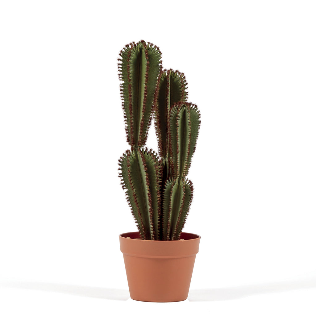 Colección plantas artificiales para interior DECOPLANT Nortene