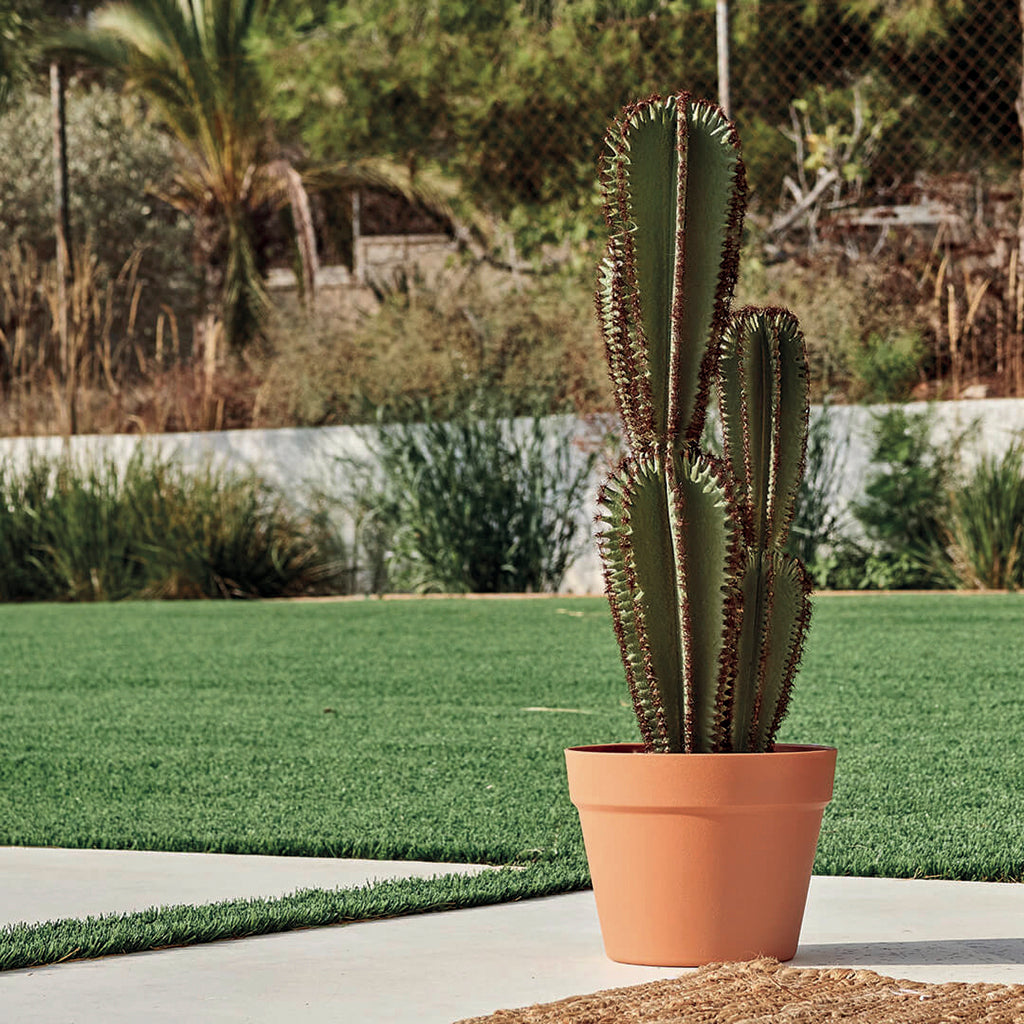 Colección plantas artificiales para interior DECOPLANT Nortene