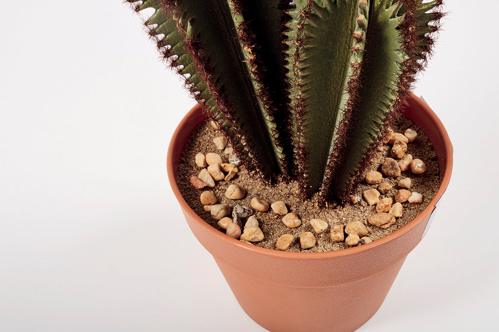 Colección plantas artificiales para interior DECOPLANT Nortene