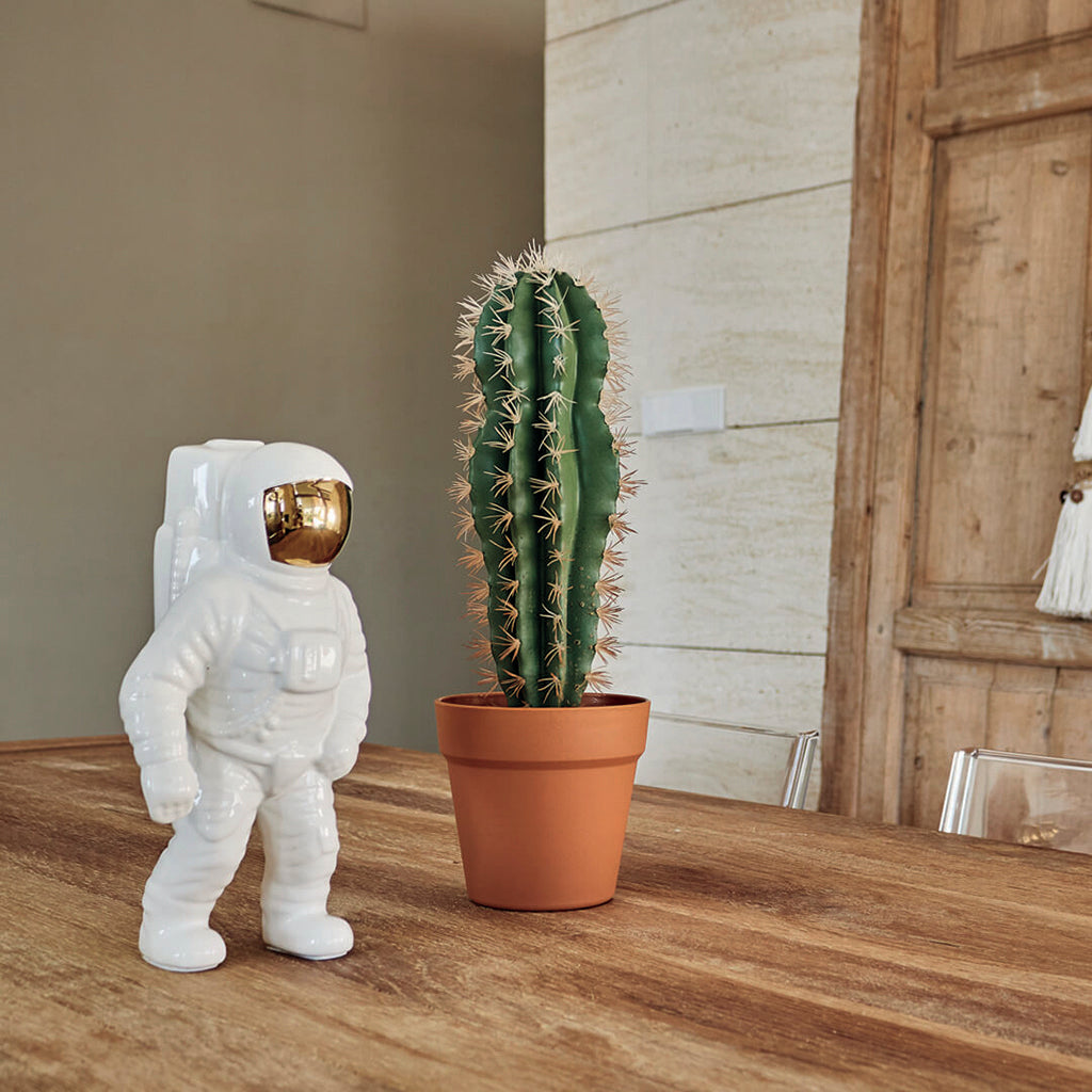 Colección plantas artificiales para interior DECOPLANT Nortene