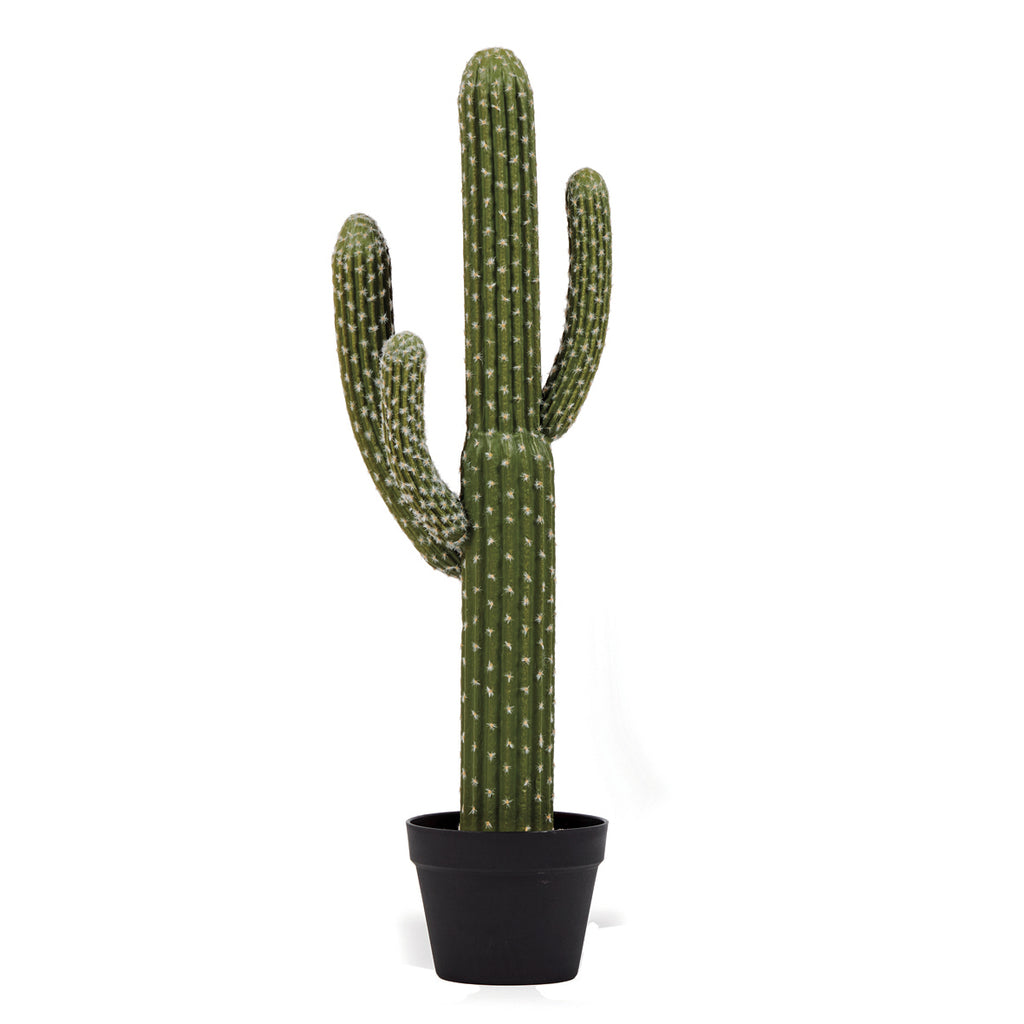 Colección plantas artificiales para interior DECOPLANT Nortene