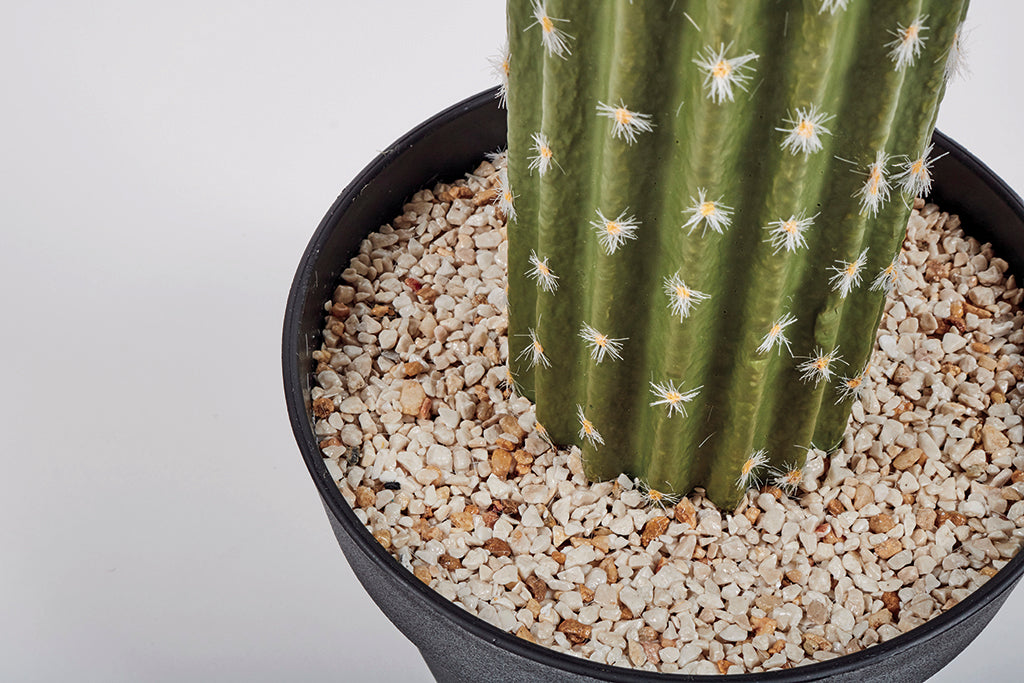 Colección plantas artificiales para interior DECOPLANT Nortene
