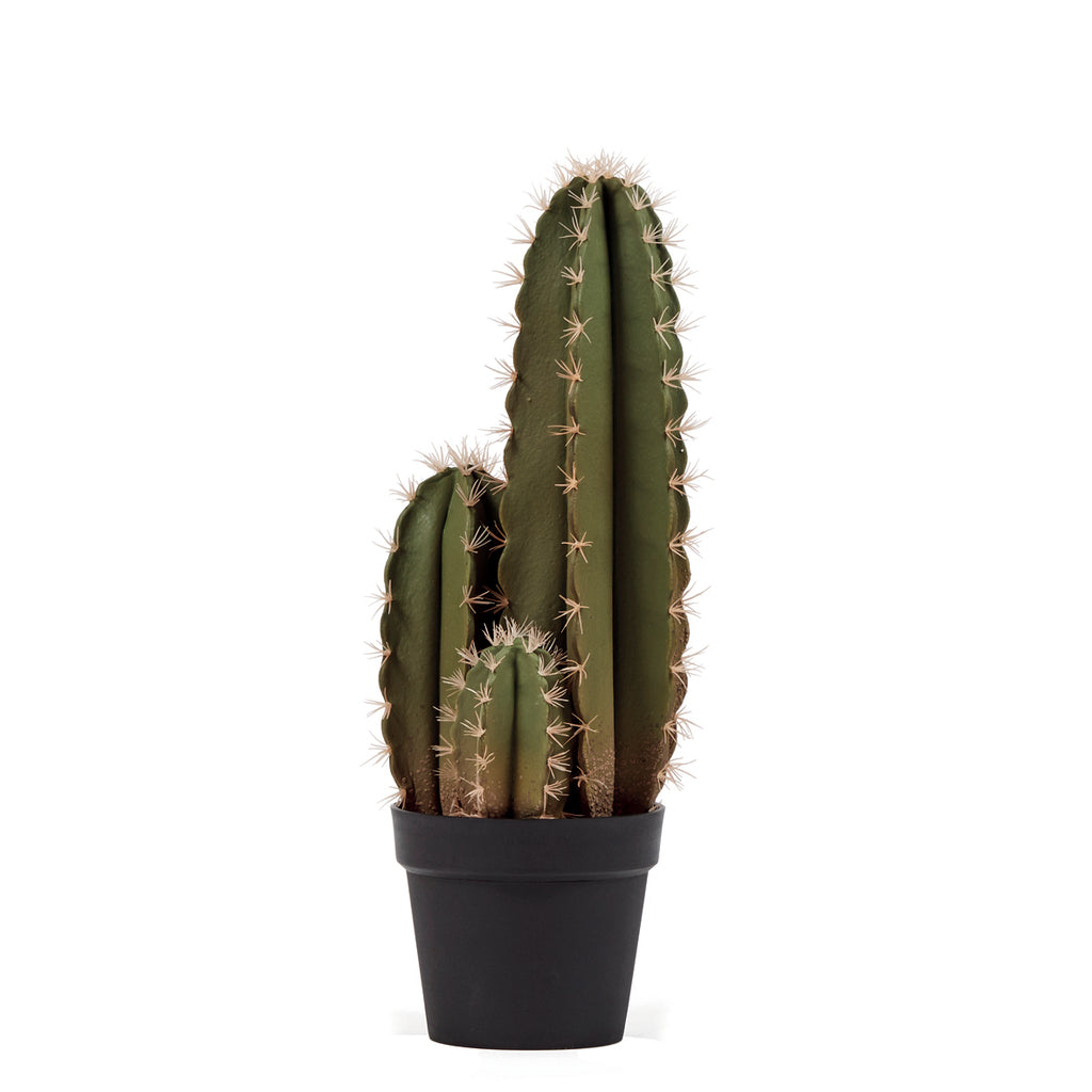Colección plantas artificiales para interior DECOPLANT Nortene