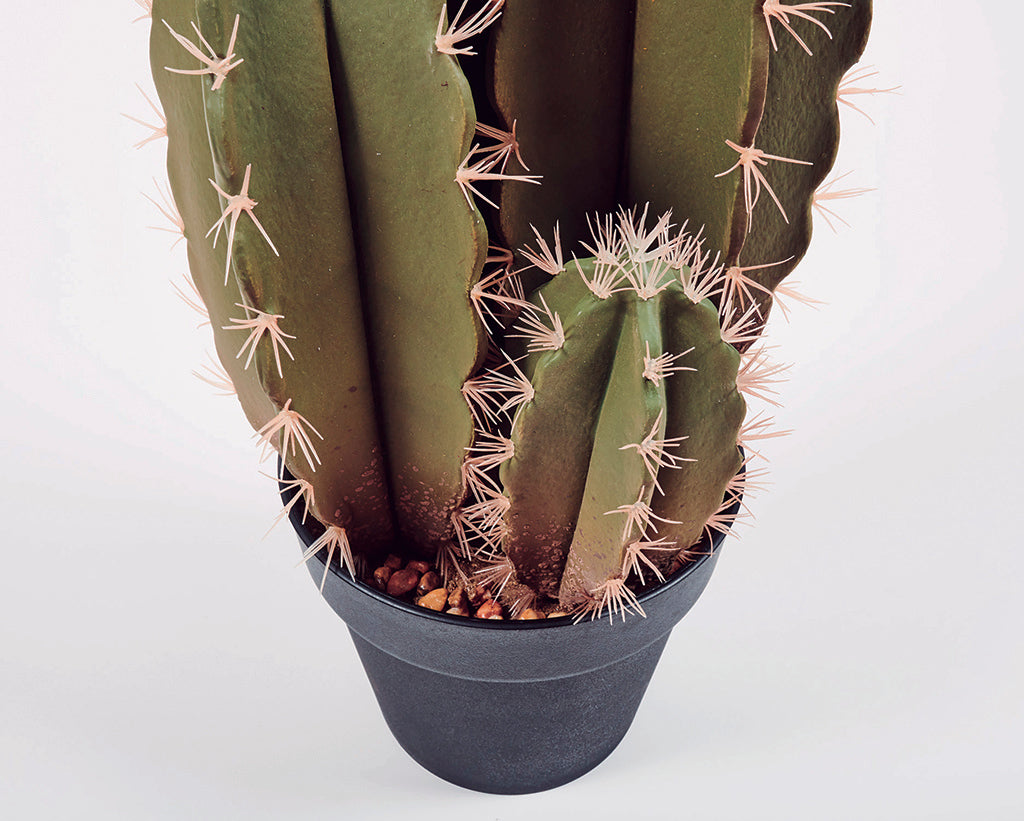 Colección plantas artificiales para interior DECOPLANT Nortene