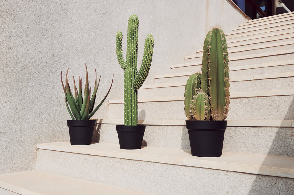 Colección plantas artificiales para interior DECOPLANT Nortene